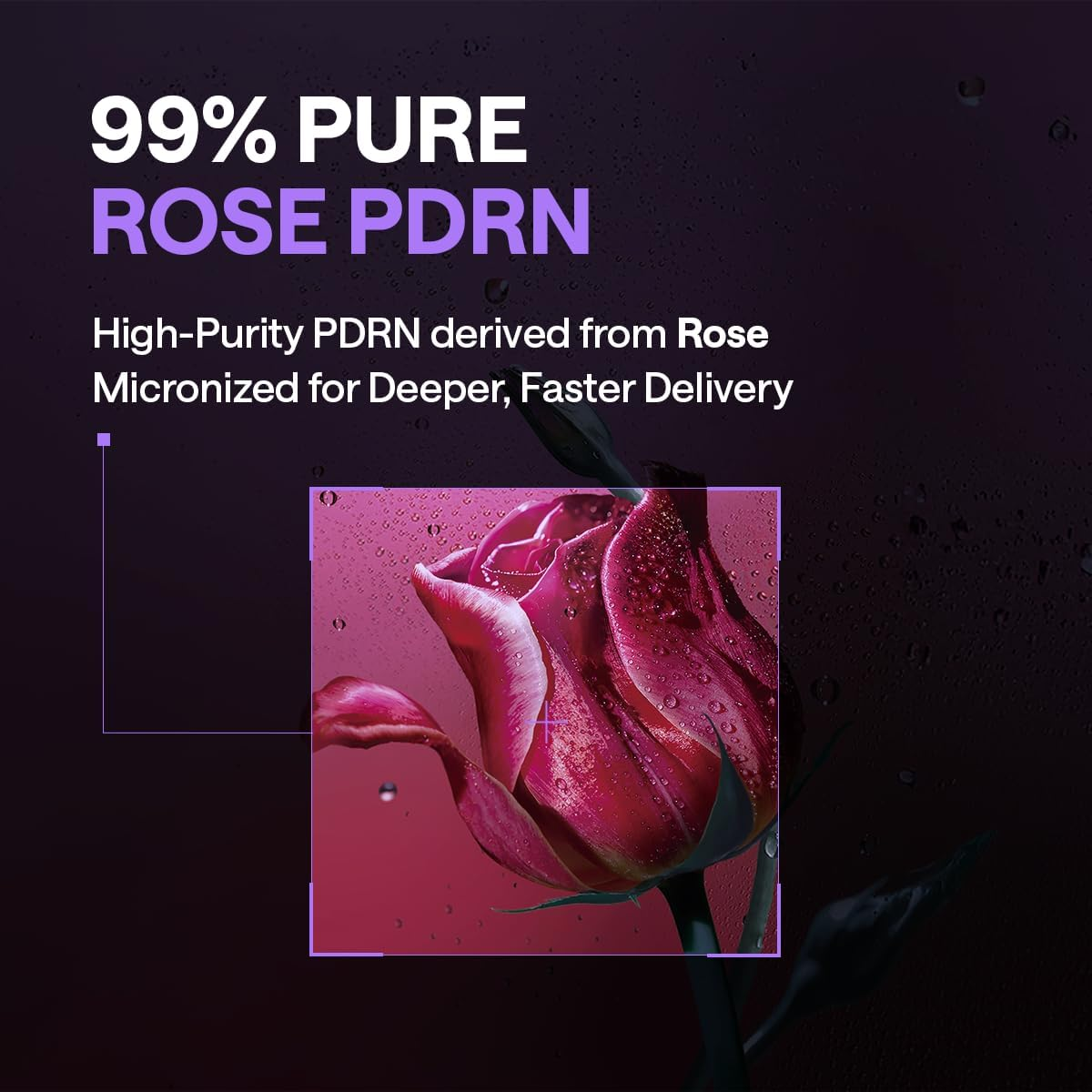 Mediheal - PDRN Lifting Day & Night Pad 170ml. (100 Pads)