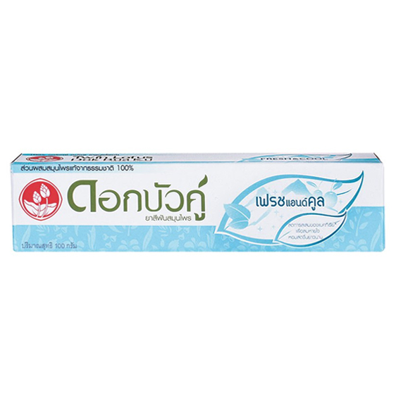 Twin Lotus - Fresh & Cool Toothpaste 100 g. - Made in Thailand