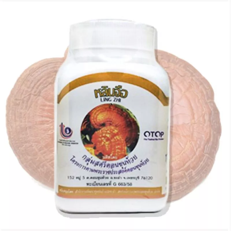Duangporn - Ling Zhi Mushroom - Strenghthens the Immune System, Nourishes Internal Organs (100 capsules)