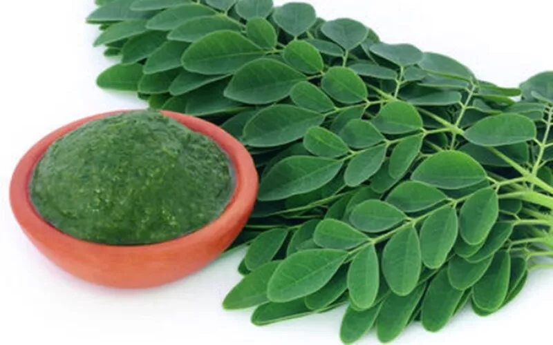 Herbal One - Auayan Moringa (100 capsules)