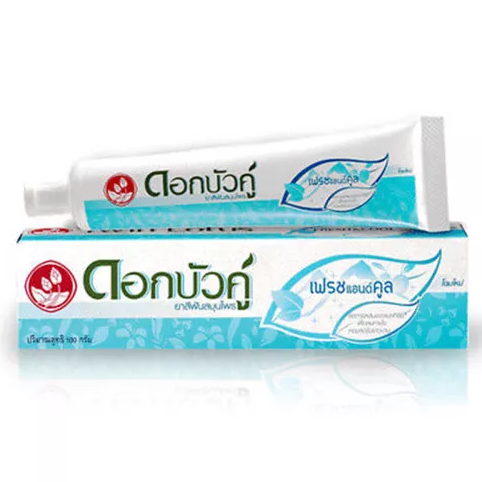 Twin Lotus - Fresh & Cool Toothpaste 100 g. - Made in Thailand