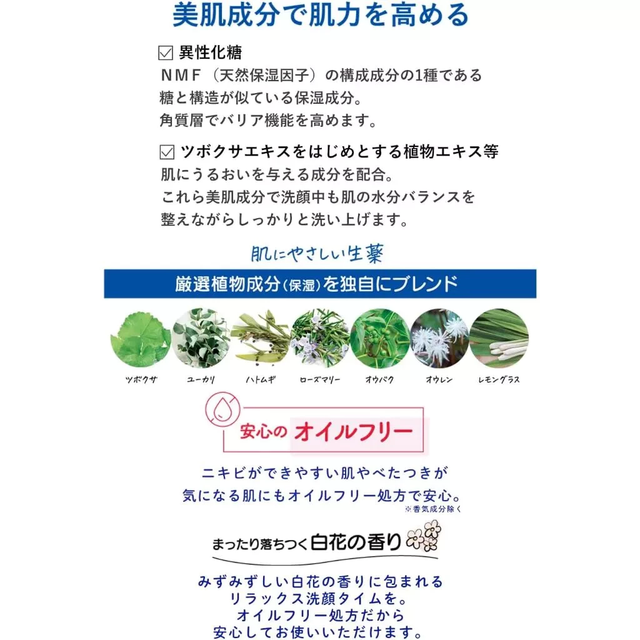 Meishoku - Bigan - Medicated Face Wash Foam 120g.