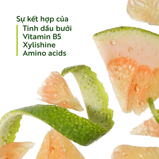Cocoon Vietnam - Pomelo Shampoo (Dầu Gội Bưởi) with Pomelo Oil, Vitamin B5, Xylishine™ & Amino Acids, Sulfate-Free Refill 500ml.