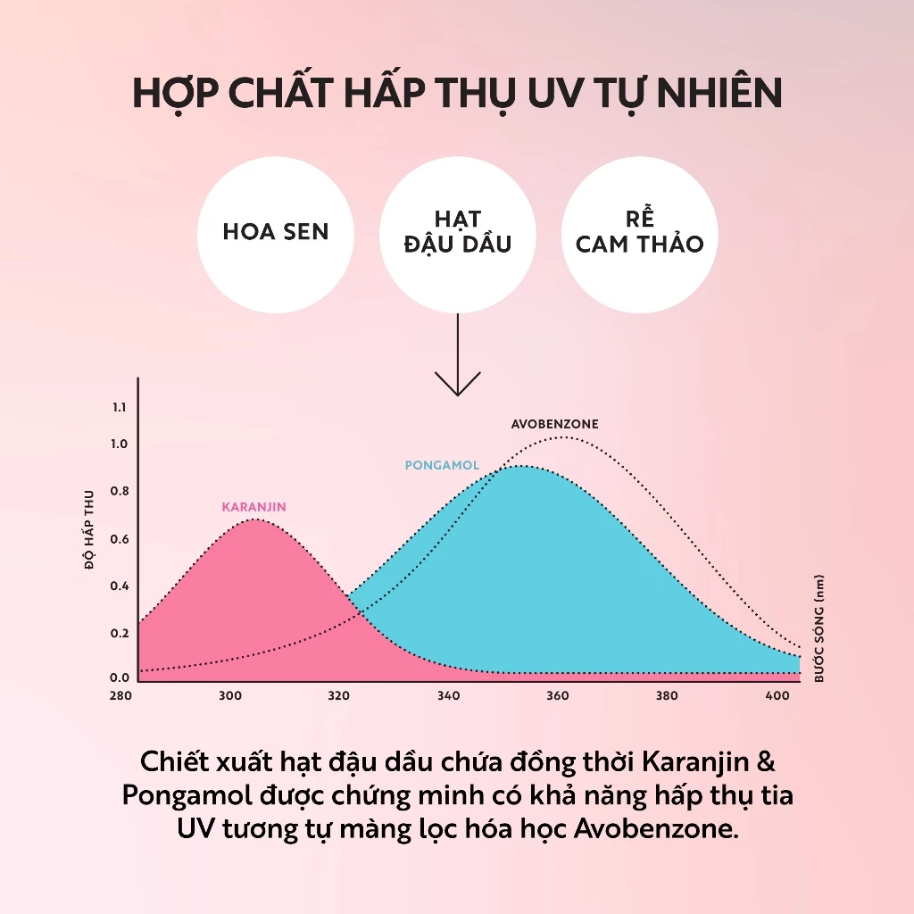Cocoon Vietnam - Hau Giang Lotus Mineral Sun Fluid (Sữa Chống Nắng Vô Cơ Sen Hậu Giang) SPF 50+ PA++++ Tone-Up Pink 15ml.