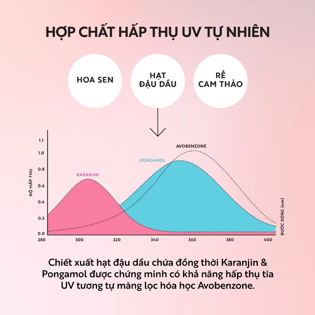 Cocoon Vietnam - Hau Giang Lotus Mineral Sun Fluid (Sữa Chống Nắng Vô Cơ Sen Hậu Giang) SPF 50+ PA++++ Tone-Up Beige 50ml.