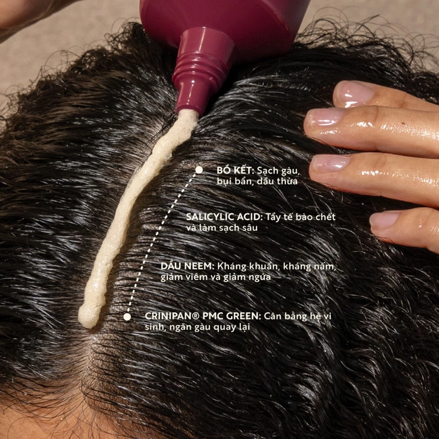 Cocoon Vietnam - Gleditsia Scalp Scrub (Tẩy Da Chết Da Đầu Bồ Kết) with Gleditsia Extract, Neem Oil, BHA & Crinipan PMC 200ml.