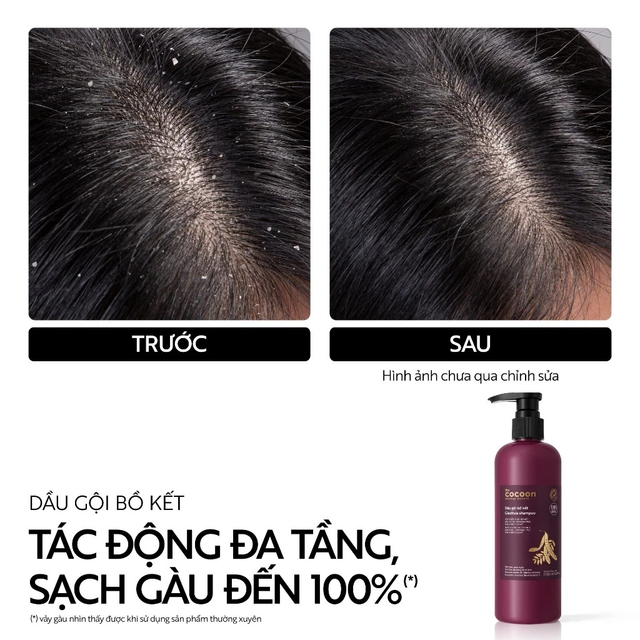 Cocoon Vietnam - Gleditsia Shampoo (Dầu Gội Bồ Kết) with Gleditsia Extract, Neem Oil, Crinipan PMC, BHA & BioEcolia® 500ml.