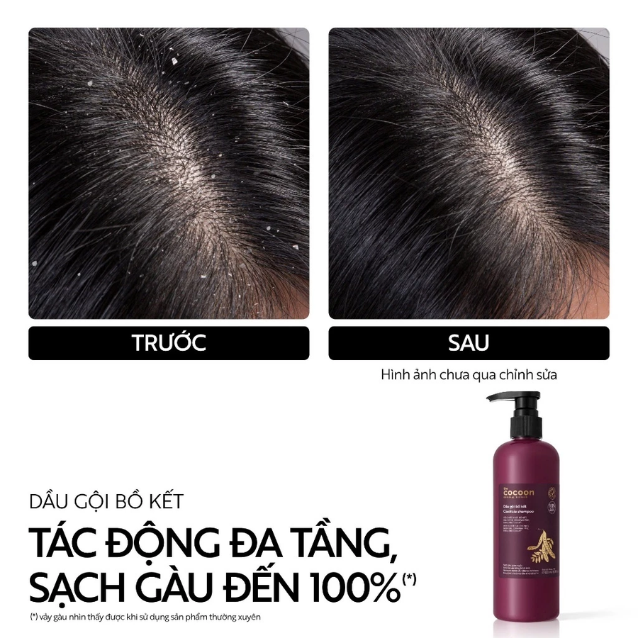 Cocoon Vietnam - Gleditsia Shampoo (Dầu Gội Bồ Kết) with Gleditsia Extract, Neem Oil, Crinipan PMC, BHA & BioEcolia® 500ml.